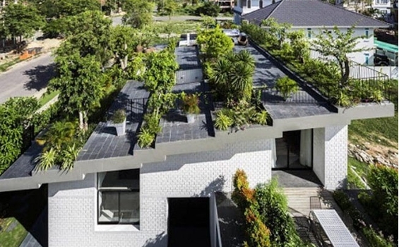 Các xu hướng thiết kế xanh cho nhà ở gia đình hiện nay