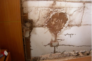 Cách diệt mối trong tường nhà