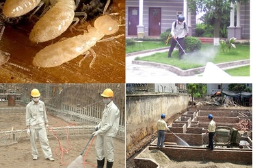 Dịch vụ phòng mối nền móng nhà khu vực Đống Đa