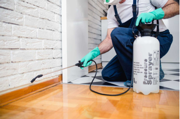 Hãy phòng mối nền móng để bảo vệ ngôi nhà bạn