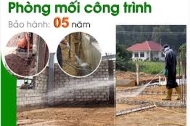 Dịch vụ phòng mối cho nhà kho, nhà xưởng tại Hà Nội
