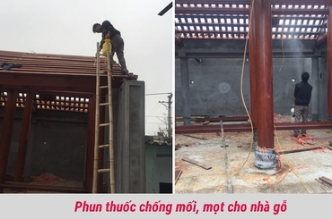 Mách Bạn Cách Phòng Mối Cho Đồ Nội Thất Gỗ