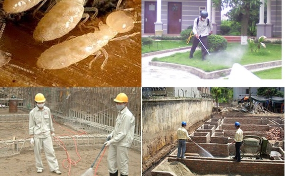 Dịch vụ phòng mối nền móng nhà khu vực Mỹ Đức