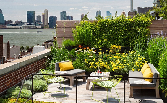 Sân Thượng - Không Gian Giải Trí và Những Bữa Tiệc Ngoài Trời