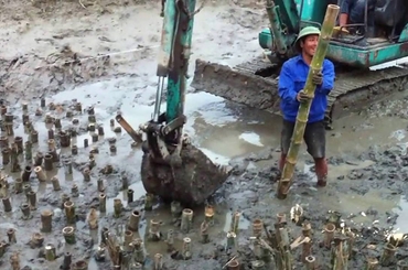 Tìm hiểu về kỹ thuật thi công đóng cọc tre mới nhất 2023