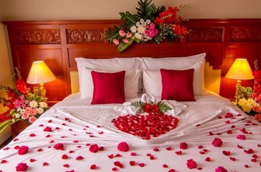 Khám Phá Xu Hướng Mới - Giường Tủ Phòng Cưới Cho Ngày Vui Đặc Biệt