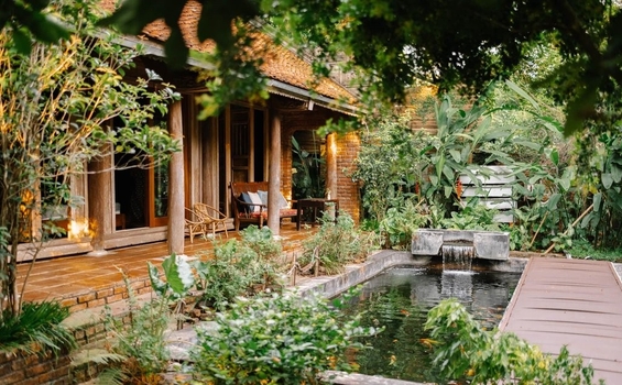 Bí Quyết Tạo Dựng Khu Vườn Xanh Mát Trong Mùa Hè