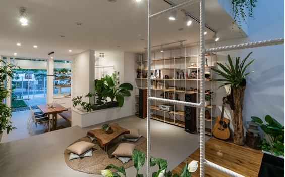 Tích Hợp Cây Xanh vào Thiết Kế Nội Thất cho Không Gian Sống Xanh Sạch Đẹp