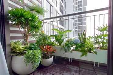 Biến Ban Công Thành Khu Vườn Nhỏ: Bí Quyết Tạo Nên Không Gian Xanh Mát