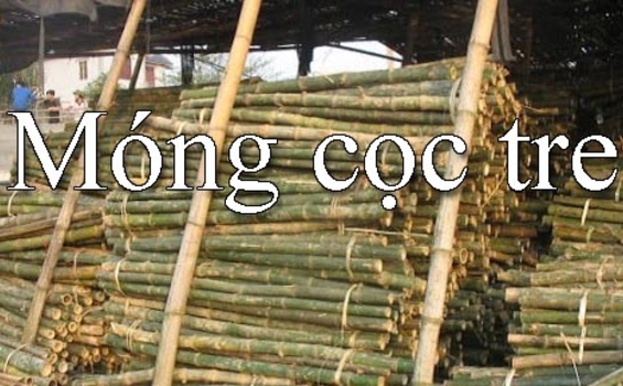 Tìm hiểu chung về ưu, nhược điểm của cọc tre trong xây dựng