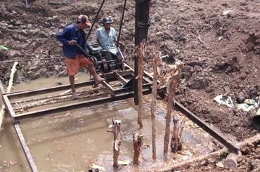 Tìm hiểu tất tần tật về cọc cừ tràm dùng trong xây dựng